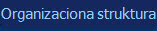 Organizaciona struktura